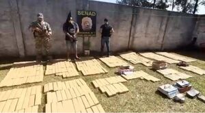 Incautan más de 400 kilos de marihuana en Jardín Aurora
