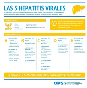 Diario HOY | Hepatitis virales: normas de higiene básica para prevenirlos