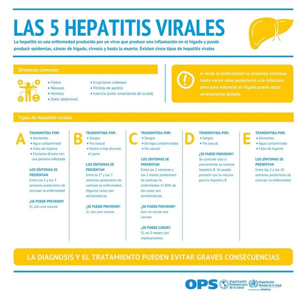 Diario HOY | Hepatitis virales: normas de higiene básica para prevenirlos