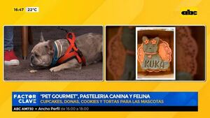 “Pet gourmet”. pastelería canina y felina - Factor Clave - ABC Color