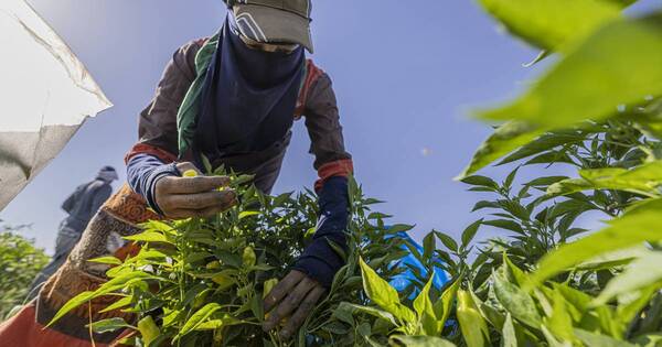 La Nación / La humanidad vivirá el resto del año prestado