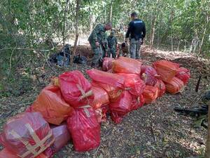 Crónica / Incautación récord de marihuana en Capitán Bado: ¡12 millones de dólares!