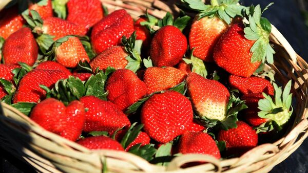Ofrecen frutillas con delivery para Asunción y área metropolitana