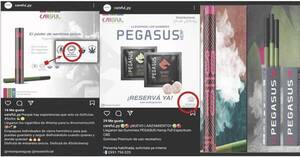 La Nación / Productos recreativos derivados de cannabis pululan en las redes