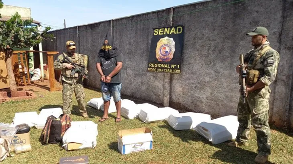 Senad incauta más de 400 kilos de marihuana en Pedro Juan Caballero - Noticiero Paraguay