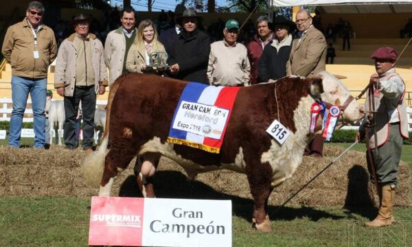 Ganaderas Sofía y Chajha invitan al remate anual de animales de alta genética