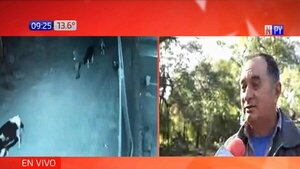 Denuncian caso de abigeato en Limpio | Noticias Paraguay