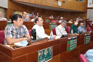 Frutihortícolas solicitan mayor control del contrabando y buscan impulsar producción yerbatera - MarketData