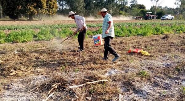 Jornada de capacitación con miras a mejorarla producción de mandioca