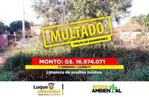 Municipalidad de Luque aplica millonarias multas a dueños de baldíos en estado de abandono - Nacionales - ABC Color