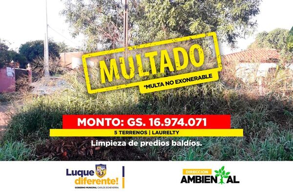 Municipalidad de Luque aplica millonarias multas a dueños de baldíos en estado de abandono - Nacionales - ABC Color