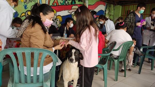 Buquilla, el perro que no abandona ni en las consultas médicas - Mascotas - ABC Color