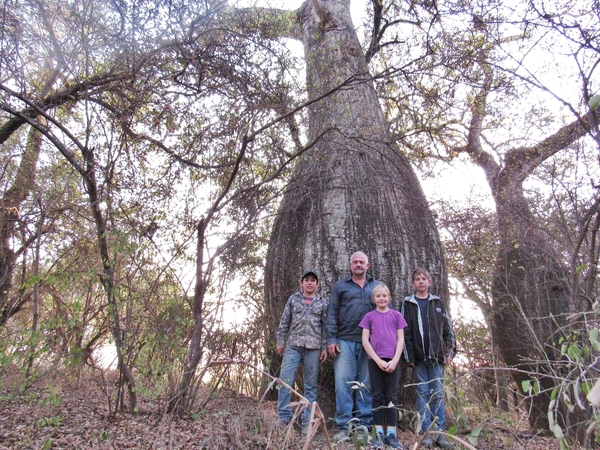 Diario HOY | Colosos de la Tierra: buscan premiar al árbol más popular del país