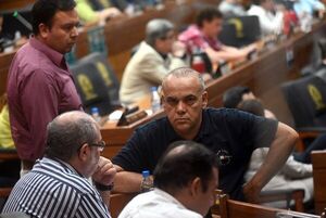 El cartismo de Santi Peña pierde el control en comisiones de peso en Diputados - Política - ABC Color