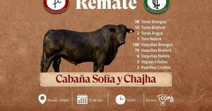 La Nación / Sofía y Chajha invitan a remate