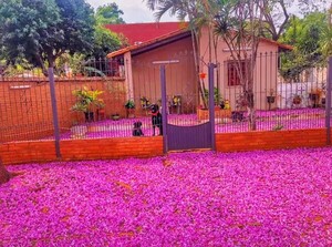 Obra de arte de la naturaleza despliega luz y encanto en una alucinante postal luqueña – La Mira Digital