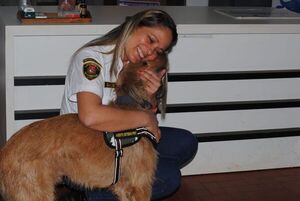Esteban, el mejor amigo de los agentes de tránsito de Ciudad del Este - ABC en el Este - ABC Color