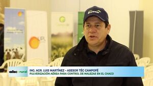 Pulverización aérea para control de malezas en el Chaco - ABC Rural - ABC Color