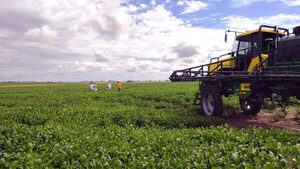 El sector agrario argentino reclama cambios al nuevo “superministro” | Internacionales | 5Días