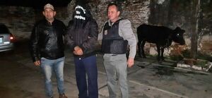 Detienen a un presunto abigeo y recuperan una vaquilla en Carapeguá - Nacionales - ABC Color