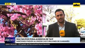 Multan por poda agresiva de tajy - ABC Noticias - ABC Color