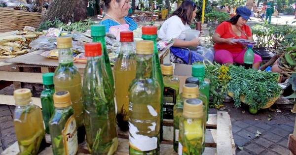 La Nación / Recomiendan tomar siete tragos de carrulim