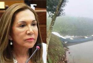 Senadora Zulma Gómez muere ahogada en el Este •