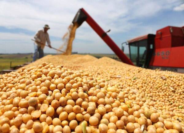 Diario HOY | Compañía alemana instalará planta de biodiesel de soja