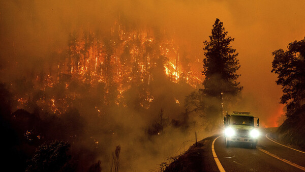 Incendios forestales arrasaron con rapidez un parque nacional en California - Megacadena — Últimas Noticias de Paraguay