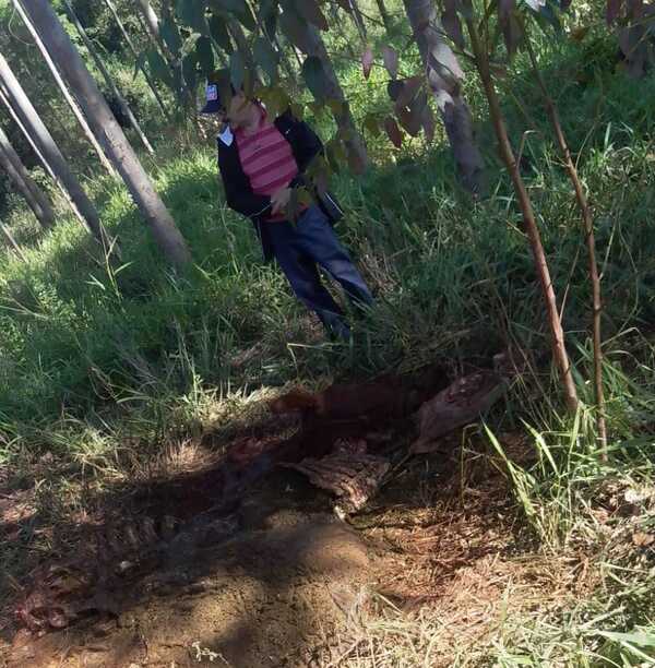 Cuatreros roban y faenan una vaca en Minga Guazú - La Clave