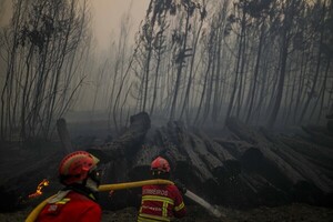 Diario HOY | Portugal batalla contra incendios forestales en fin de semana de altas temperaturas