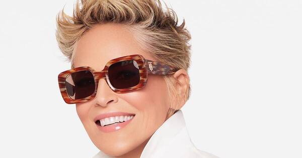 La Nación / Con un provocador toples, Sharon Stone encendió las redes sociales