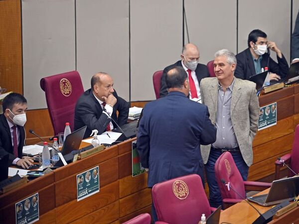 Ampliaciones llegan a G. 265.000 millones - Economía - ABC Color
