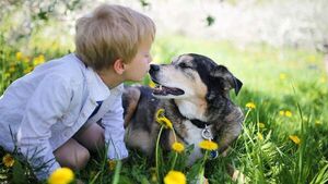 Cuándo un niño puede tener una mascota - Mascotas - ABC Color