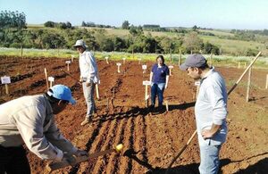 Hoy inicia censo agrícola en 4 departamentos del país