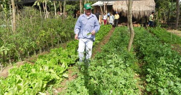 La Nación / Destacan iniciativas impulsadas en la agricultura y que beneficiaron a 77 mil familias en Paraguay