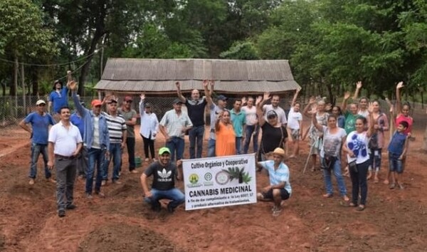 Campesinos asociados a cooperativa aguardan la aprobación de proyecto de ley para legalizar el cannabis medicinal – La Mira Digital