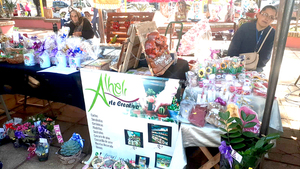 Primera feria de emprendedores de Hernandarias se realizó con éxito - La Clave
