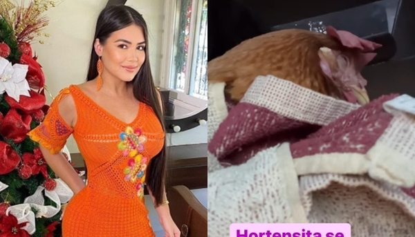 Hortensia, la gallina de Laurys fue intervenida de urgencia - Teleshow