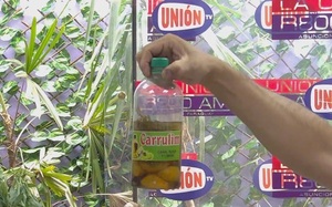 ¡Hola Agosto!: Irrumpe de nuevo el Carrulim, la tradicional bebida 'espanta mala onda'