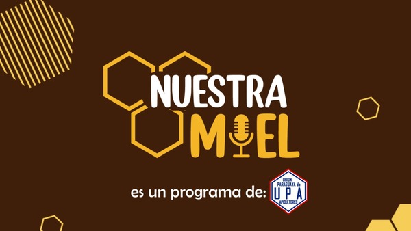 UPA Paraguay estrena programa en Radio 1000: “Nuestra Miel” | 1000 Noticias