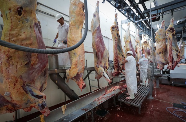 Las exportaciones uruguayas suben 24,4 % en julio respecto al mismo mes de 2021 - MarketData