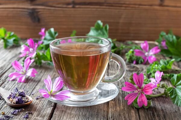 Malva: una aliada para la salud y belleza