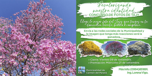 MUNICIPALIDAD DE CARMEN DEL PNÁ. LANZÓ II CONCURSO FOTOGRÁFICO «REVALORIZANDO NUESTRA IDENTIDAD»