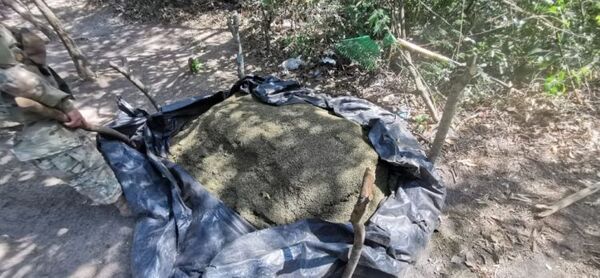 Desmantelan centros de producción y incautan más de 5 toneladas de marihuana en Amambay