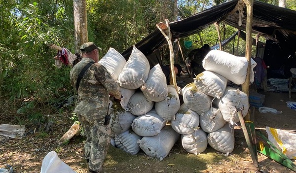 SENAD desmanteló centros de producción de marihuana en Amambay