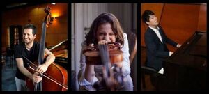 Violín, contrabajo y piano, protagonistas en ciclo de cámara de la OSN - Música - ABC Color
