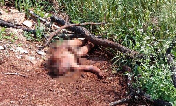 Encuentran cadáver de un hombre en un inmueble privado de Hernandarias – Diario TNPRESS