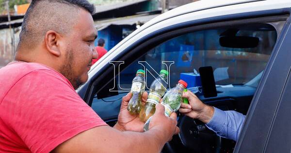 La Nación / Más de 500 litros de carrulim fueron vendidos por los comerciantes del Mercado 4