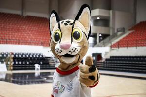 Encarnación palpita los Juegos ODESUR y confirman competencia de 6 competencias deportivas